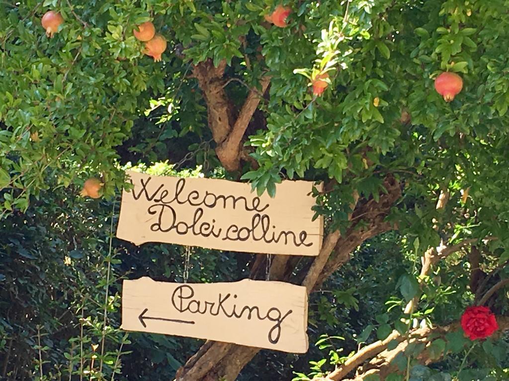 Borgo Dolci Colline Villa Castiglion Fiorentino Exterior foto